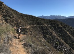 IMG_0600