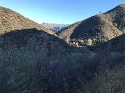 IMG_0604