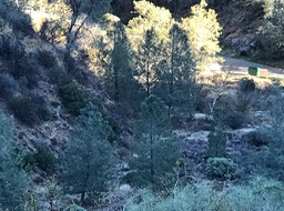 IMG_0606