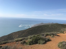 IMG_0785