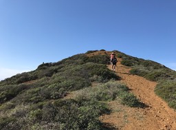 IMG_0800
