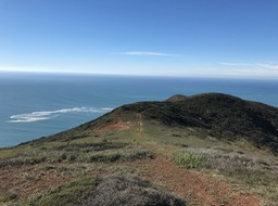 IMG_0838