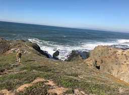 IMG_0847