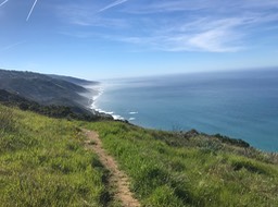 IMG_0851