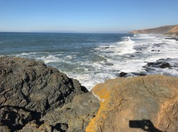 IMG_0864