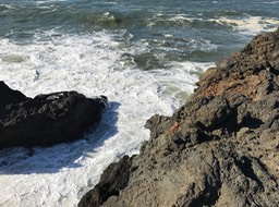 IMG_0865