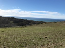 IMG_0878