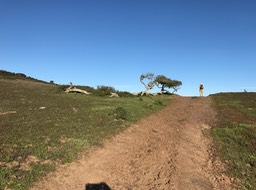 IMG_0882