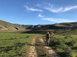 IMG_0888