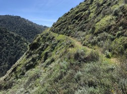 IMG_0968