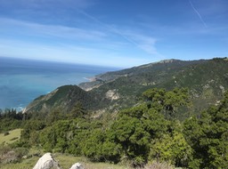 IMG_1503