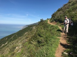 IMG_1525