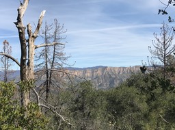 IMG_1606