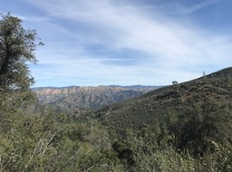 IMG_1608