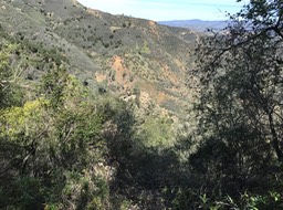 IMG_1611