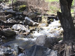 IMG_1627