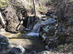 IMG_1641