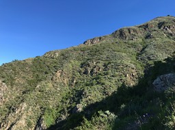 IMG_1730