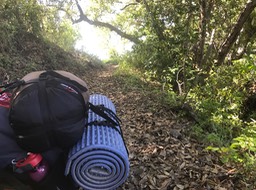 IMG_1892