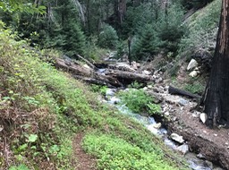 IMG_1894