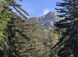 IMG_1901