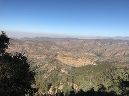 IMG_1901