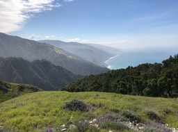 IMG_1914