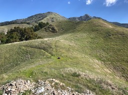 IMG_1922