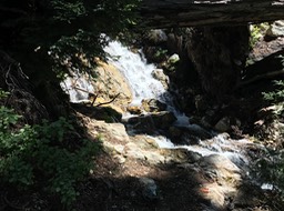 IMG_1935