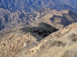 IMG_20161116_115913