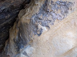 IMG_20161116_130154