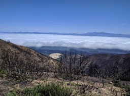 IMG_20180411_110533