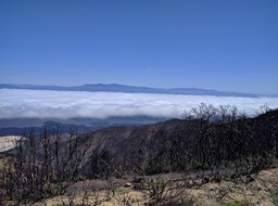 IMG_20180411_110537