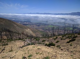 IMG_20180411_114122