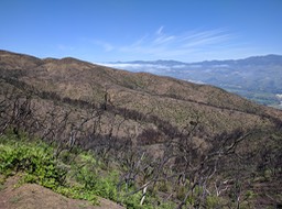 IMG_20180411_120022