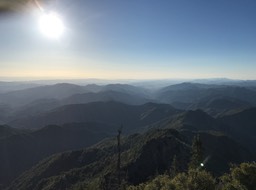 IMG_2034