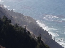 IMG_2059