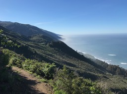 IMG_2491