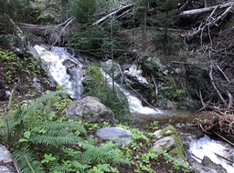 IMG_2516