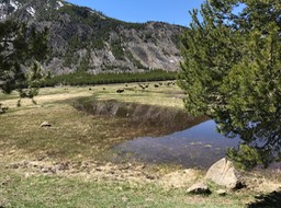 IMG_2564
