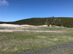 IMG_2594