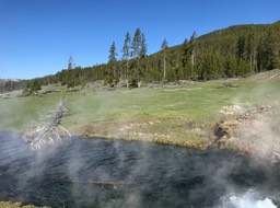 IMG_2647