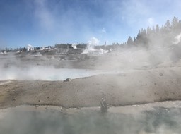 IMG_2668