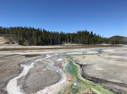 IMG_2677