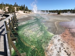 IMG_2679