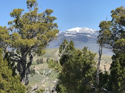 IMG_2706