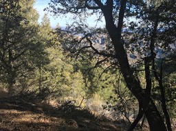 IMG_2707