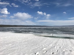 IMG_2778
