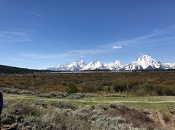 IMG_2791