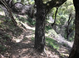 IMG_2799